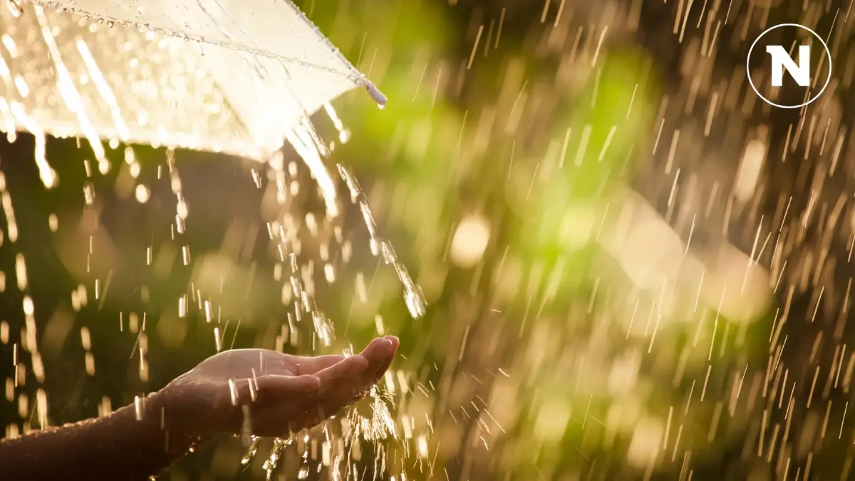 กรมอุตุฯ เตือน ภาคตะวันออก-ภาคใต้ ฝนตกหนัก เสี่ยงน้ำท่วมฉับพลัน กรมอุตุฯ เตือน ภาคตะวันออก-ภาคใต้ ฝนตกหนัก เสี่ยงน้ำท่วมฉับพลัน