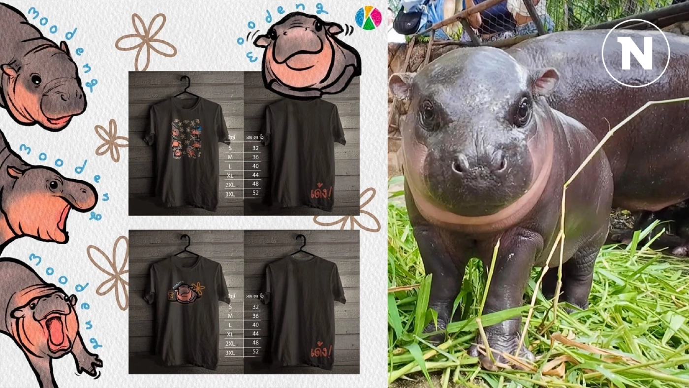 เขาเขียวแตกแน่! เปิดขายเสื้อ "น้องหมูเด้ง" ล็อตแรก 700 ตัว เช็กข้อมูลที่นี่