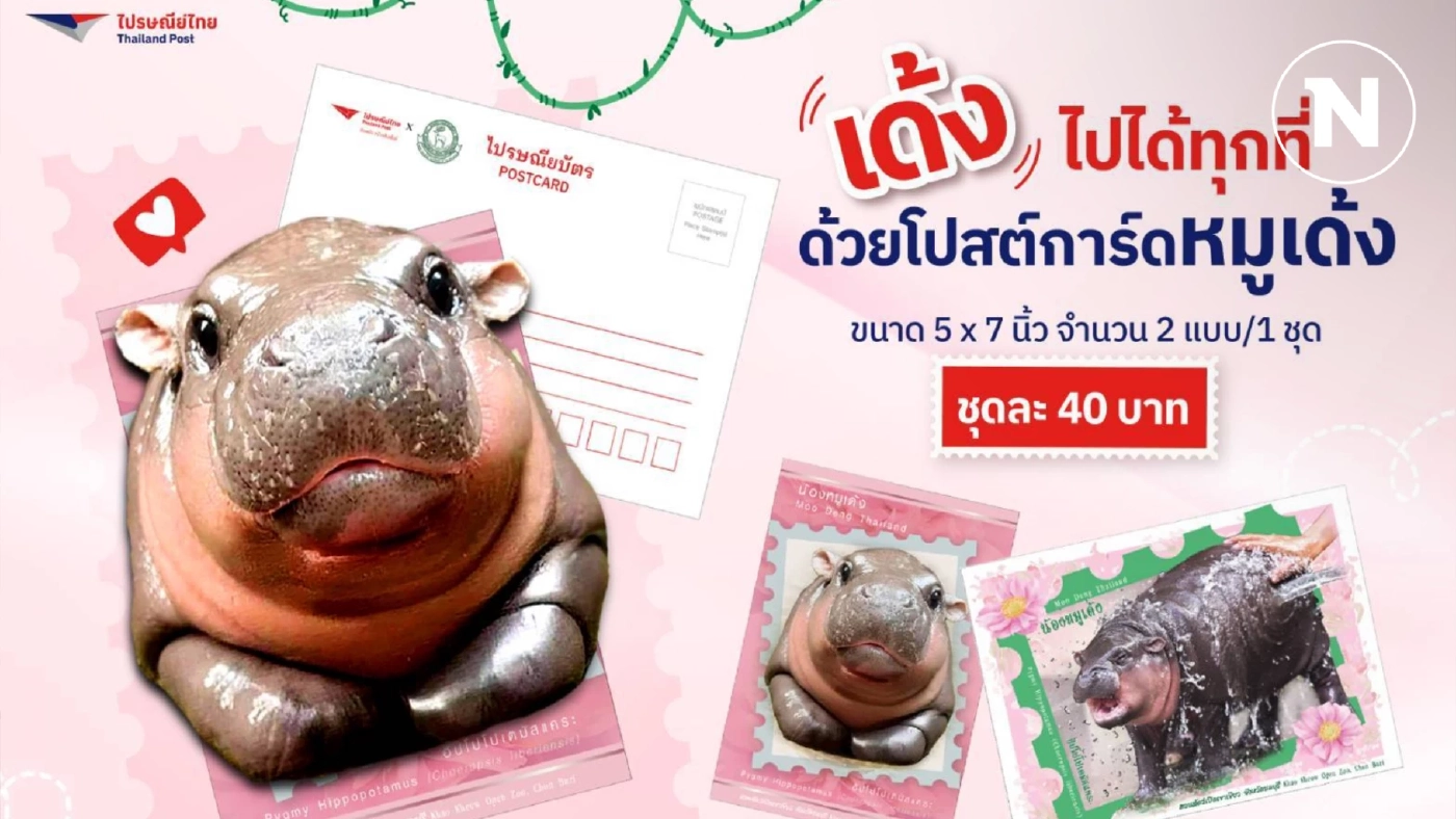 ลิมิเต็ดคอลเลกชัน! ไปรษณีย์ไทยเปิดตัว iStamp - โปสต์การ์ด “น้องหมูเด้ง”