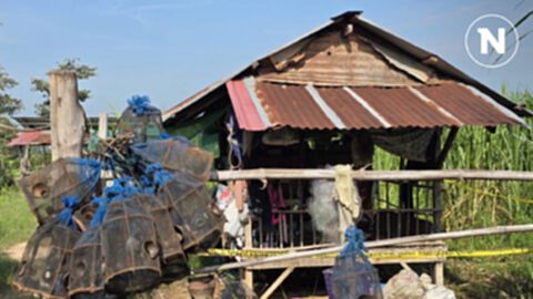 พี่เขย ฉุนน้องเมีย จุดไฟไล่ยุงให้วัว เปิดศึกดวลมีด ดับ 1 พี่เขย ฉุนน้องเมีย จุดไฟไล่ยุงให้วัว เปิดศึกดวลมีด ดับ 1