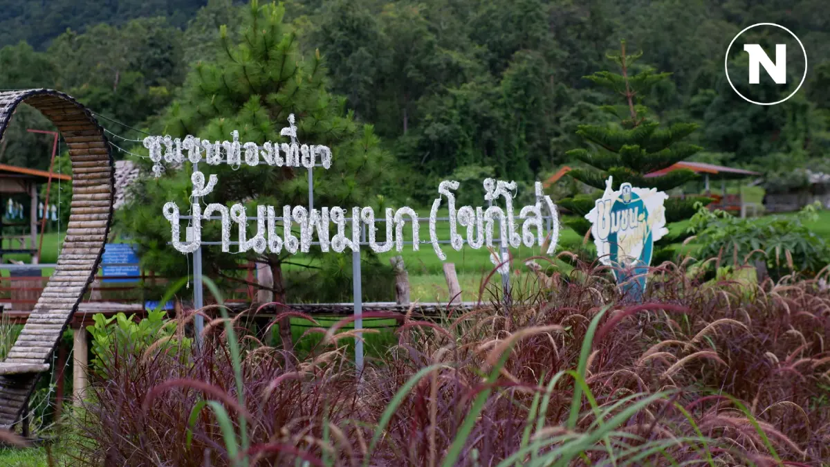 ชวนเที่ยวเชิงเกษตรบ้านแพมบกหนึ่งใน "แม่ฮ่องสอนโมเดล" ชวนเที่ยวเชิงเกษตรบ้านแพมบกหนึ่งใน "แม่ฮ่องสอนโมเดล"