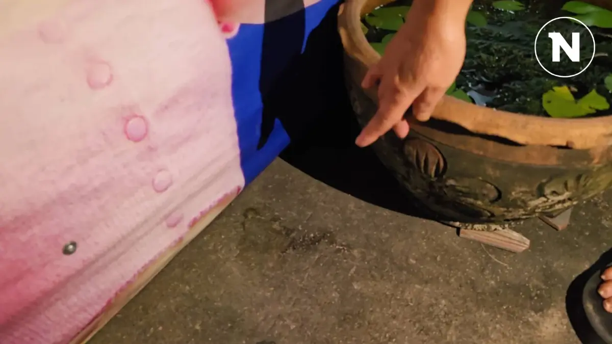 ใครเป็นคนทำ ทาสแมวตามหามือวางยาเบื่อ "แมว" ดับยกซอยกว่า 50 ตัว ใครเป็นคนทำ ทาสแมวตามหามือวางยาเบื่อ "แมว" ดับยกซอยกว่า 50 ตัว