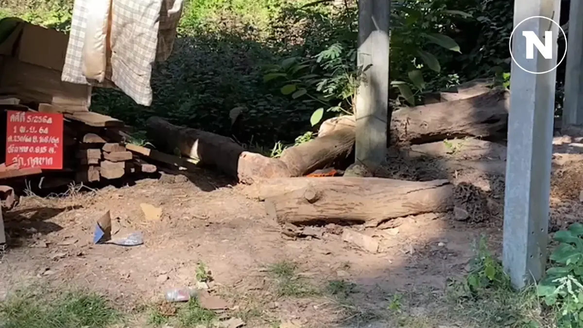5 คนร้ายสุดเหิมเกริม บุกกลางดึกจับมัด จนท.ป่าไม้ ปล้นปืนและไม้พะยูงหลบหนี