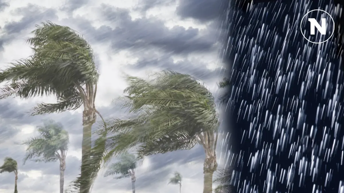 "ภาคใต้" ระวังฝนตกหนักถึงหนักมาก อาจเกิดน้ำท่วมฉับพลัน บางพื้นที่
