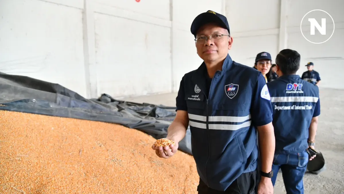 พาณิชย์คุมเข้มรับซื้อข้าวโพดเลี้ยงสัตว์ พาณิชย์คุมเข้มรับซื้อข้าวโพดเลี้ยงสัตว์
