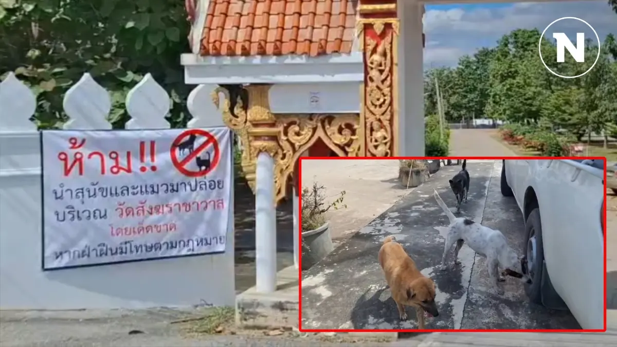วัดในจ.สิงห์บุรี ติดป้าย "ระวังหมาดุ" กลัวญาติโยมไม่กล้าทำบุญที่วัด