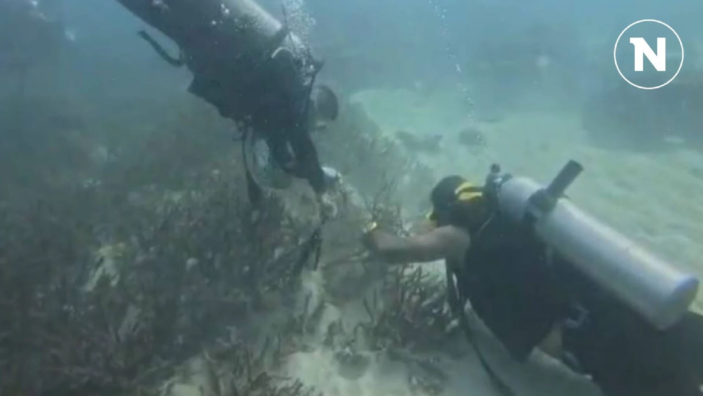 นักดำน้ำจิตอาสา ช่วยกันเก็บขยะ-เศษอวน ทำความสะอาดโลกใต้ทะเลสตูล (มีคลิป)