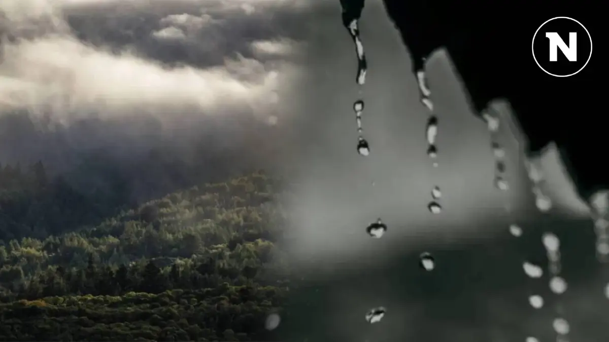 พยากรณ์อากาศพรุ่งนี้ เหนือ-อีสานตอนบน ยังเย็น ภาคใต้มีฝนบางแห่ง