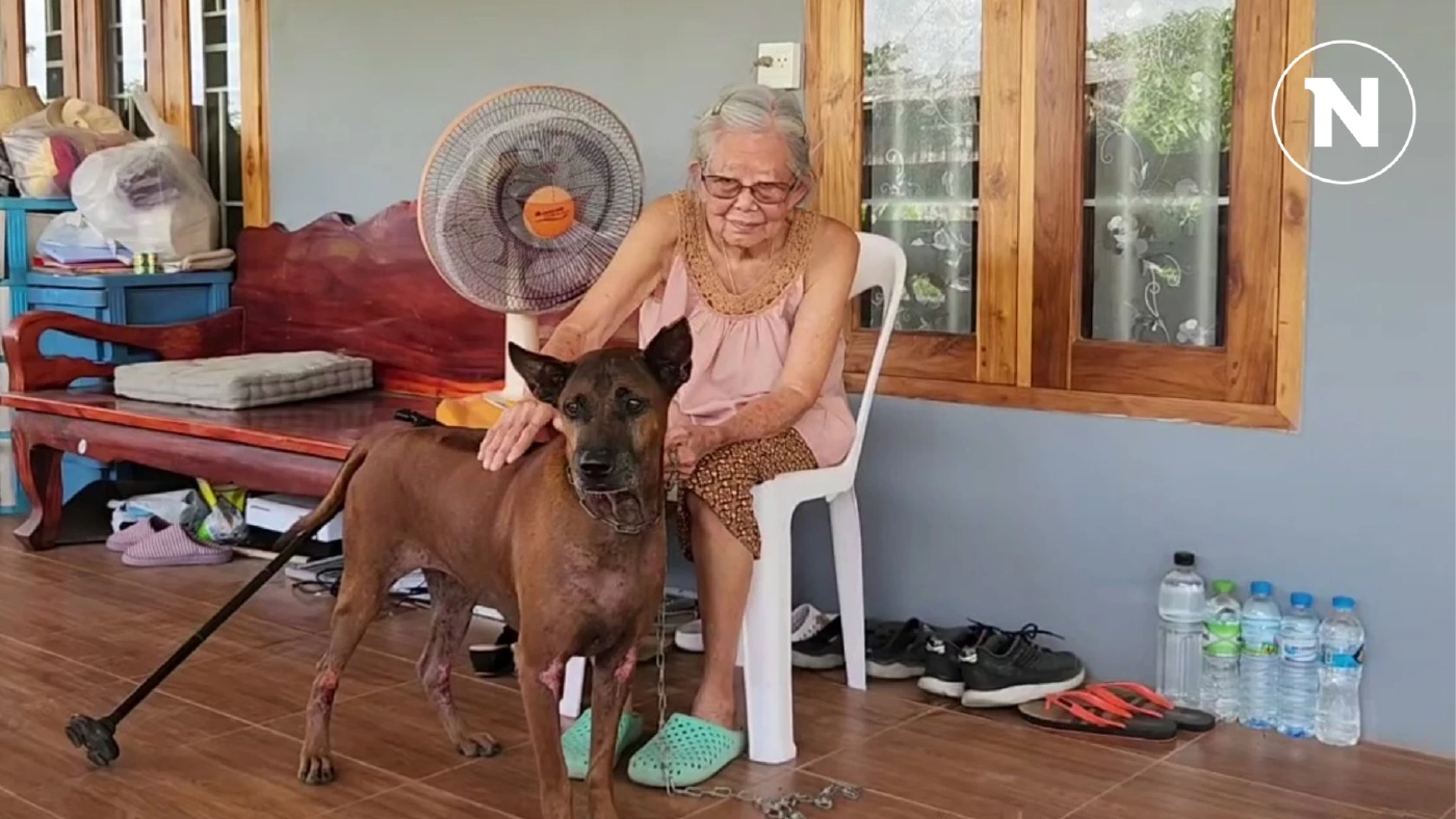 คุณยายสุดดีใจ พบ "เจ้าคอฟฟี่" สุนัขแสนรักแล้ว หลังตกใจเสียงพลุ วิ่งหายจากบ้าน 10 วัน