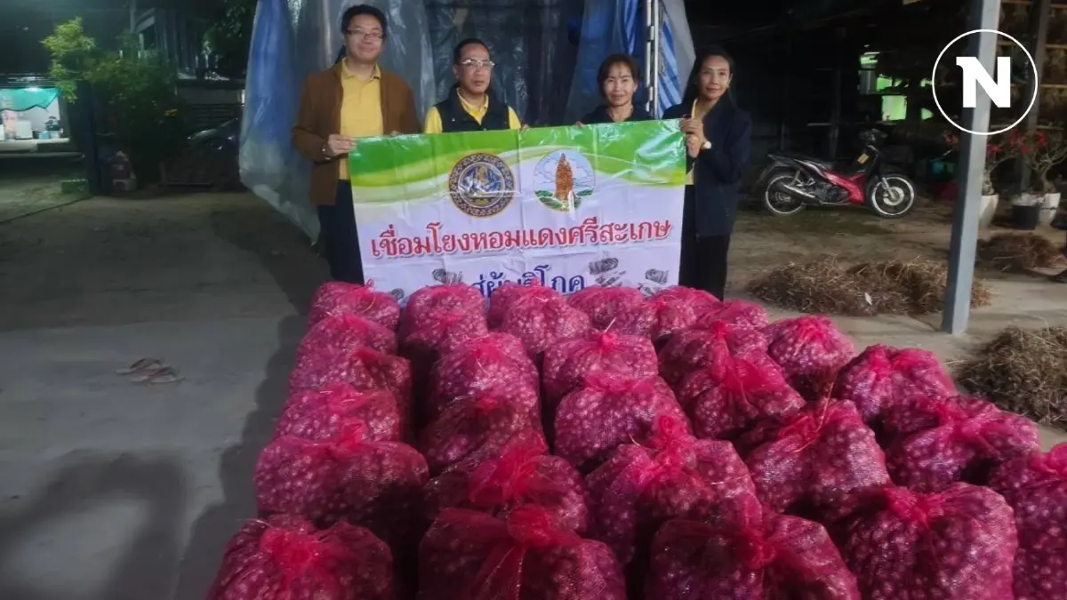 พาณิชย์ประสานคนกลางรับซื้อหอมแดง ดันราคาช่วยเกษตรกร