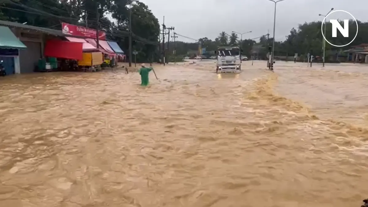 “สุราษฎร์” อ่วม ฝนถล่มไม่เลิก ประกาศเขตภัยพิบัติเพิ่มเป็น 9 อำเภอ ดับแล้ว 3 “สุราษฎร์” อ่วม ฝนถล่มไม่เลิก ประกาศเขตภัยพิบัติเพิ่มเป็น 9 อำเภอ ดับแล้ว 3