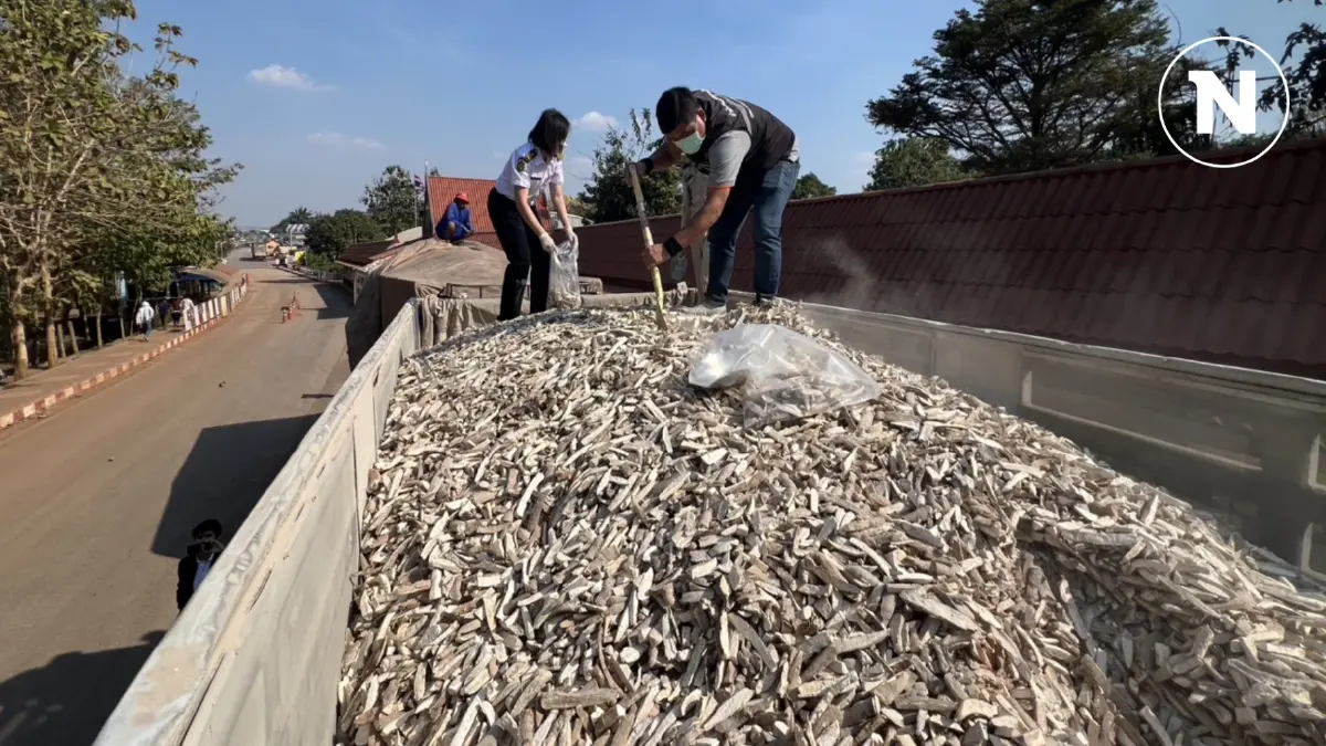 พาณิชย์คุมเข้มคุณภาพมันเส้นนำเข้า – ส่งออก สกัดกดราคารับซื้อ