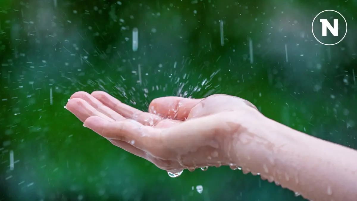 กรมอุตุฯ ประกาศเตือนอากาศหนาว ฝนตกหนัก เช็กพื้นที่เสี่ยงฝนถล่ม! กรมอุตุฯ ประกาศเตือนอากาศหนาว ฝนตกหนัก เช็กพื้นที่เสี่ยงฝนถล่ม!