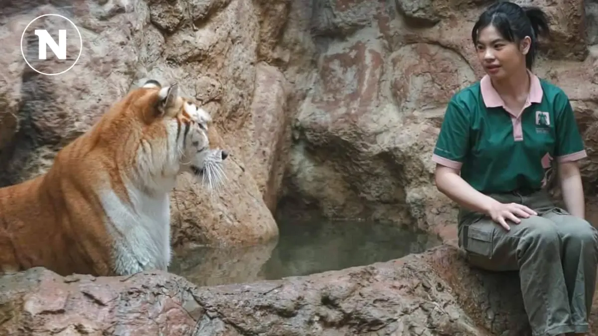 น่ารักไม่ไหว พี่เลี้ยงข้างกายน้องเอวา