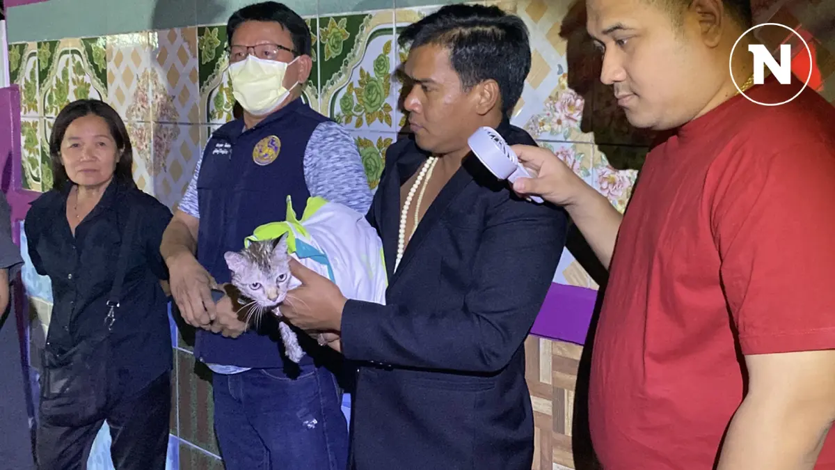 ทุกชีวิตมีค่า! ดับเพลิงลุยกองไฟช่วยชีวิต 7 น้องแมว จากบ้านที่ไฟไหม้วอด ทุกชีวิตมีค่า! ดับเพลิงลุยกองไฟช่วยชีวิต 7 น้องแมว จากบ้านที่ไฟไหม้วอด