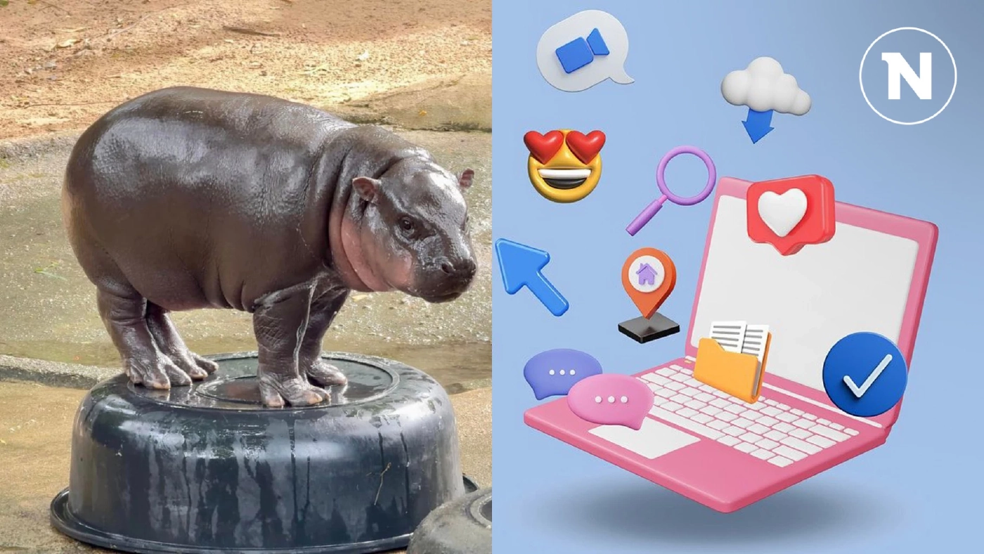 ไวซ์ไซท์ จัดอันดับ “10 เรื่องราวที่ชาวโซเชียลให้ความสนใจในปี 2567”