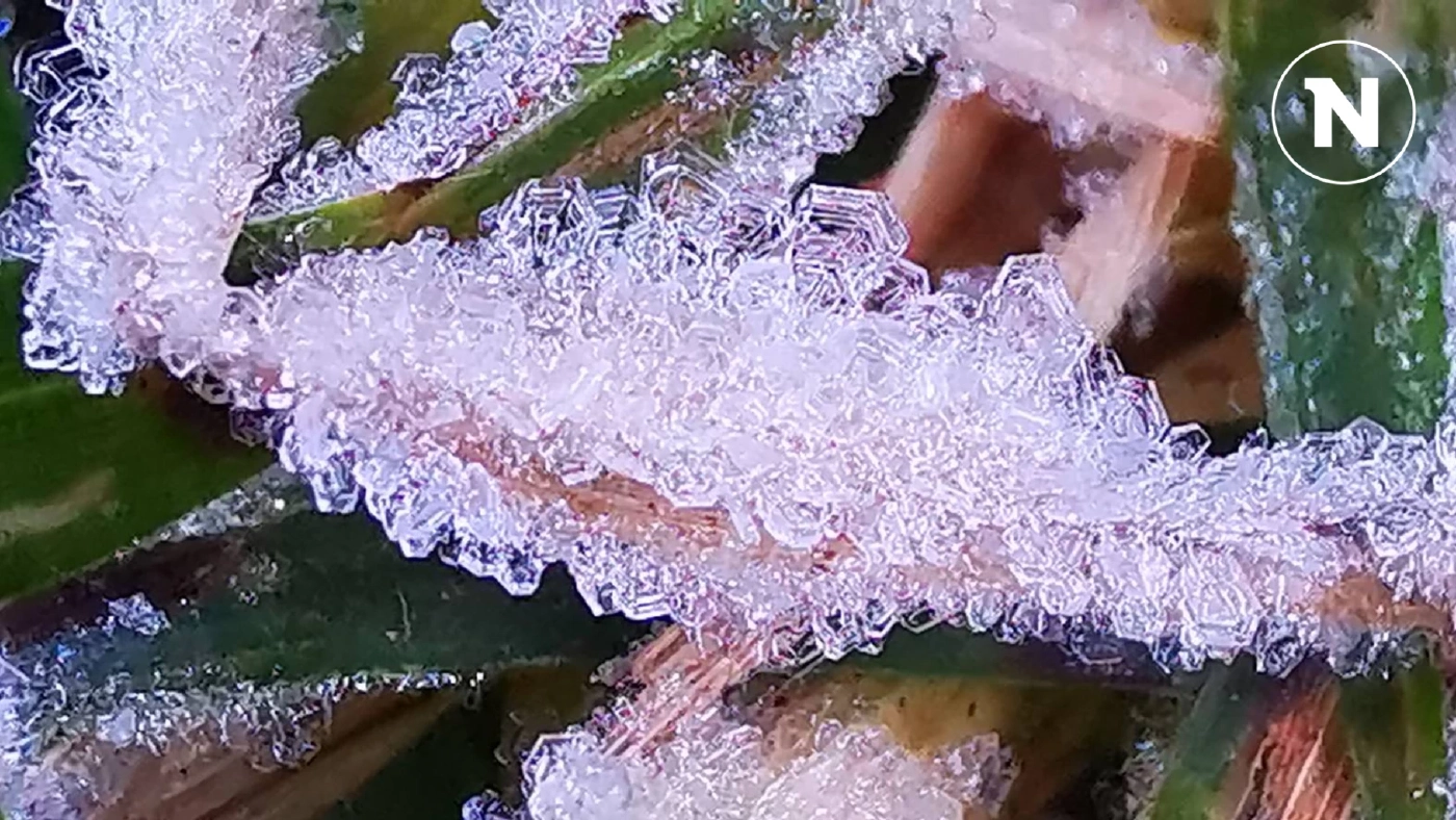 มาแล้ว “เหมยขาบ” ครั้งแรกฤดูหนาวปีนี้ ดอยอินทนนท์ อุณหภูมิลดฮวบ เหลือ 4 องศาฯ