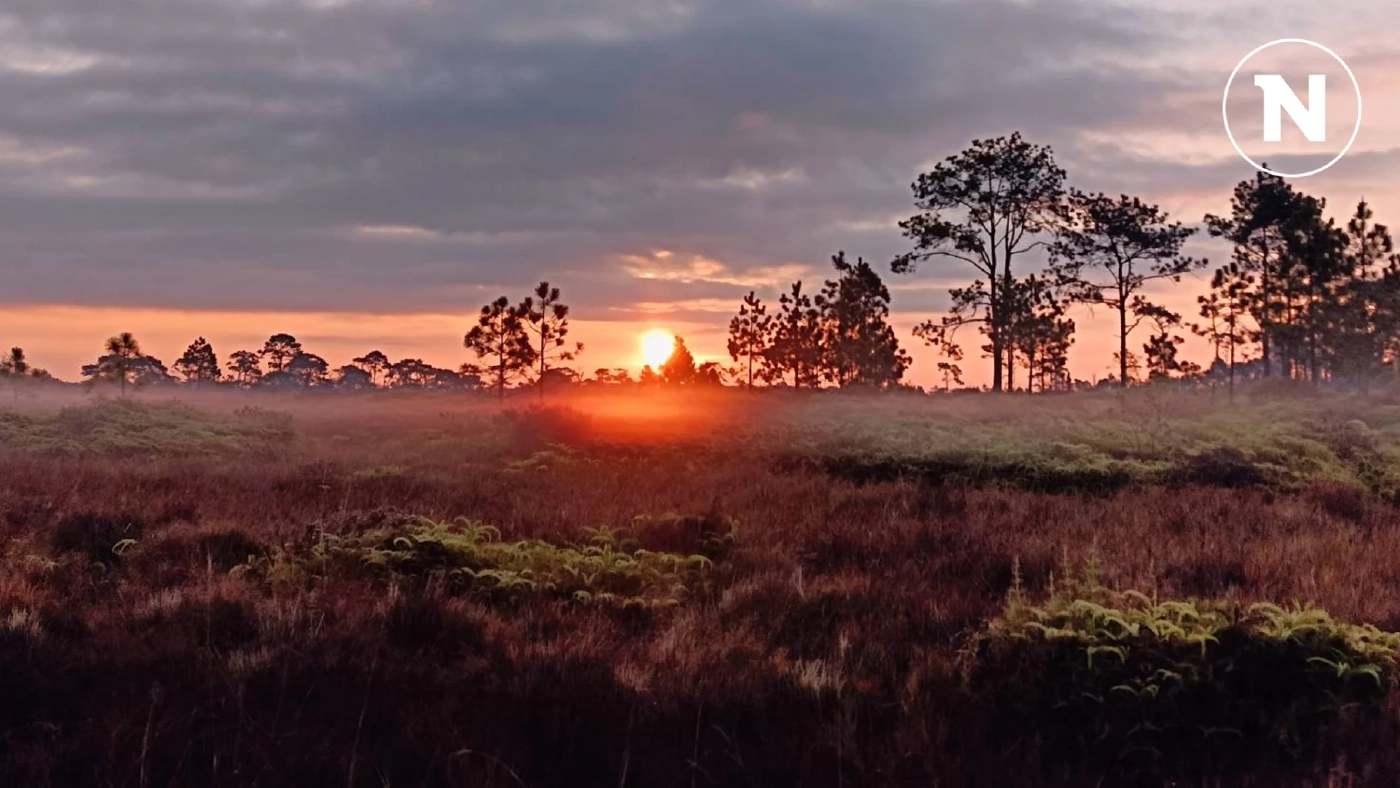ด่วน! ช้างป่า “ภูกระดึง” ทำร้ายนักท่องเที่ยวเสียชีวิต 1 ราย