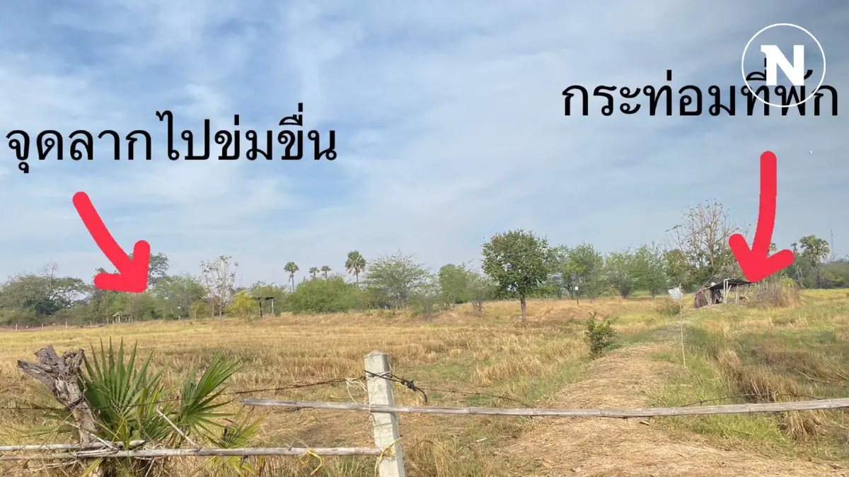 สองยาย ร้องปวีณา ถูกไอ้โม่ง ขืนใจกลางทุ่งนา สองยาย ร้องปวีณา ถูกไอ้โม่ง ขืนใจกลางทุ่งนา