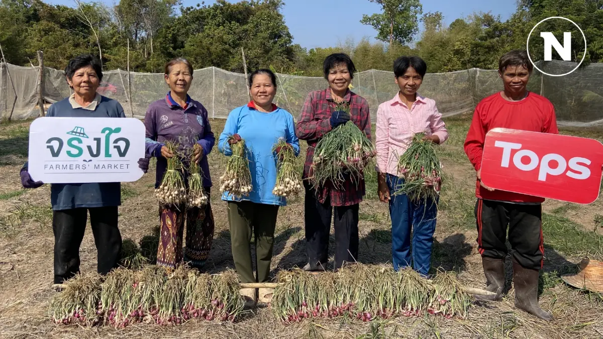 กรมการค้าภายในประสานผู้ประกอบการรับซื้อหอมแดงศรีสะเกษช่วยเกษตรกร