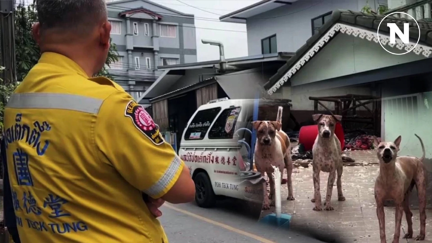 สุดสลด!! "มาตา ภูวพันธ์" อดีตดาราหนัง วัย 65 ปี เสียชีวิต สุนัขเฝ้าไม่ห่าง
