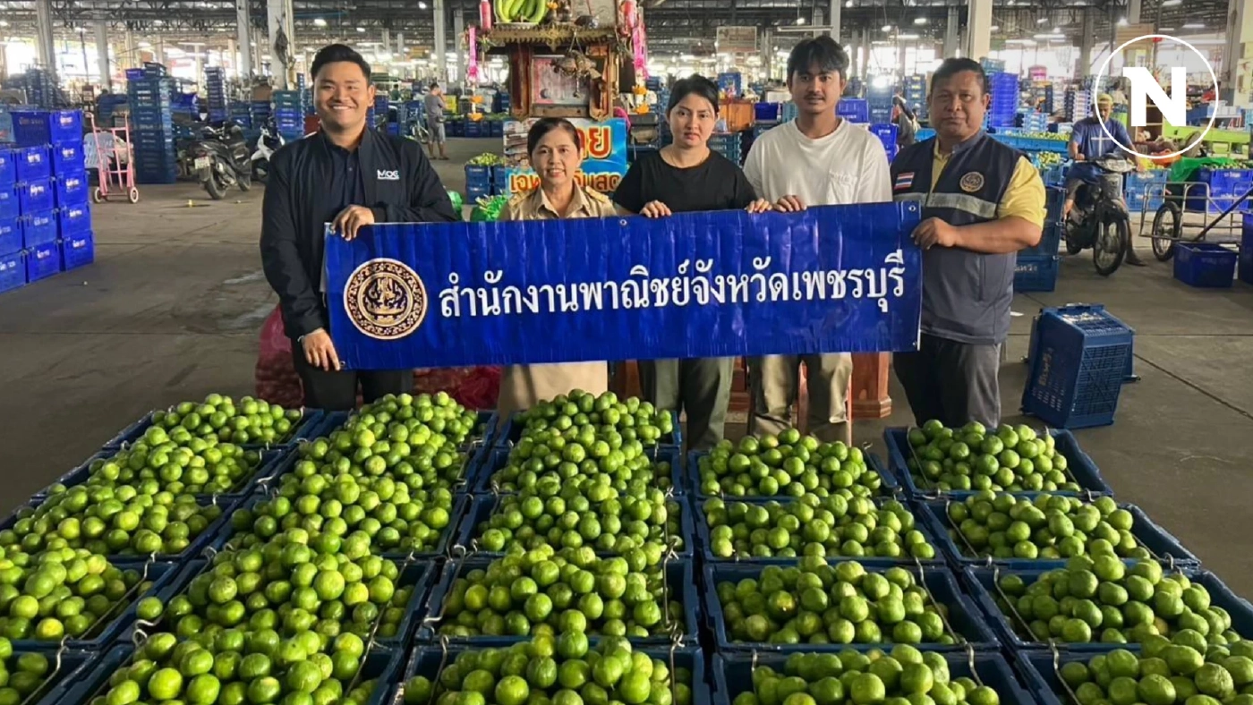 พาณิชย์ประสานคนกลางรับซื้อมะนาวสวนเพชรบุรี ตั้งเป้า 50 ตัน