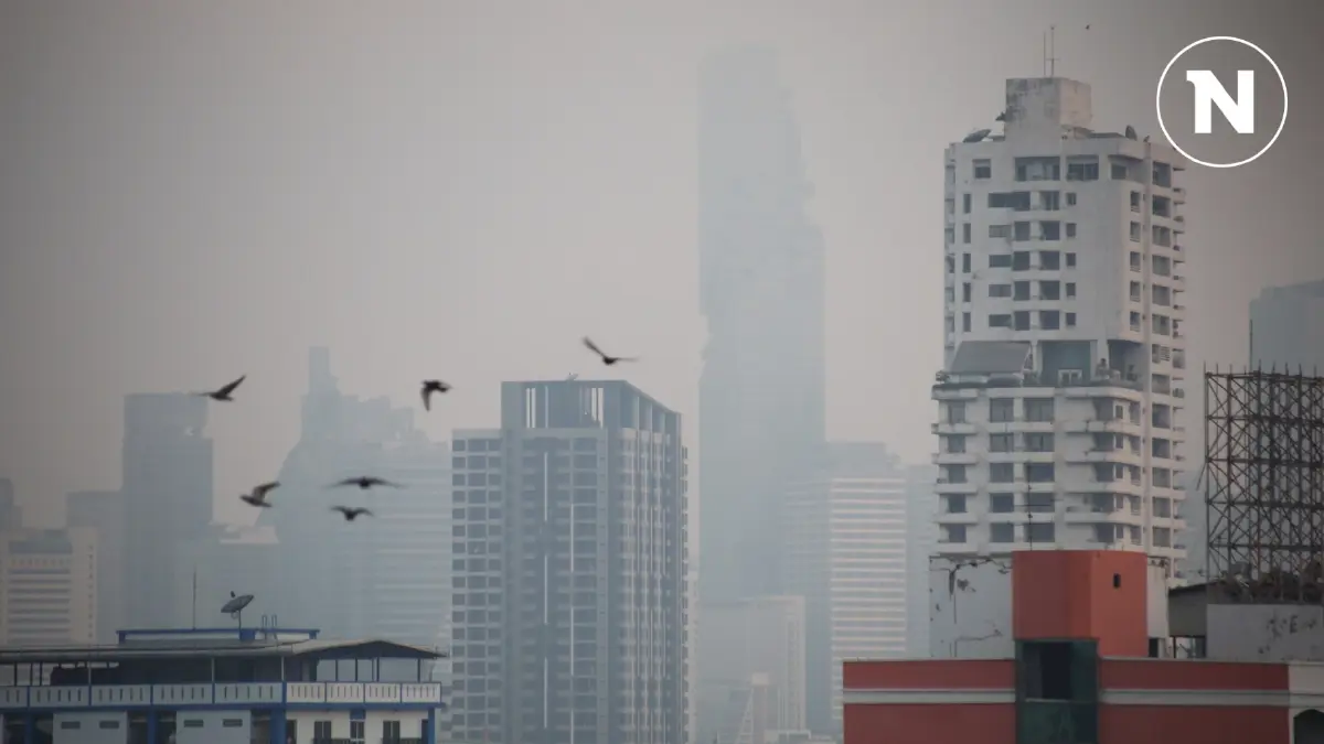เช็กด่วน! 12 พื้นที่ฝุ่นพิษ PM 2.5 พุ่งเกินค่ามาตรฐาน เช็กด่วน! 12 พื้นที่ฝุ่นพิษ PM 2.5 พุ่งเกินค่ามาตรฐาน