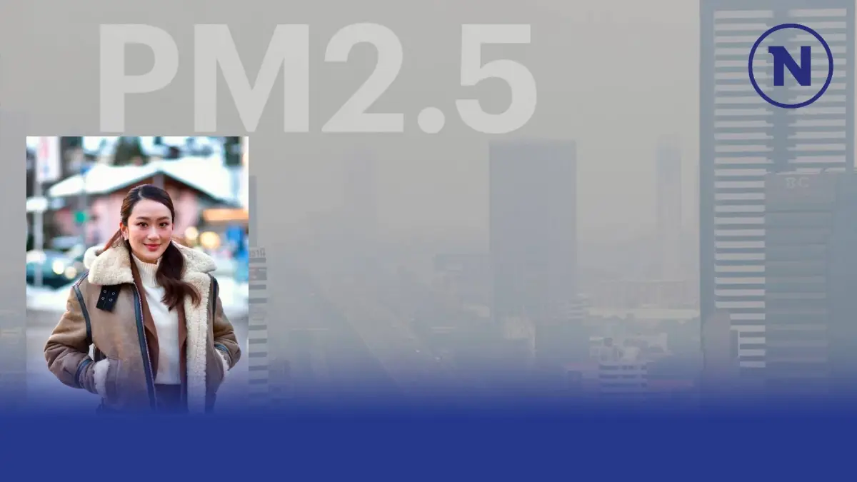 "นายกฯอุ๊งอิ๊ง" แจกแจง มาตรการเร่งด่วนสยบฝุ่นพิษ"PM2.5" ห่วงใยประชาชน "นายกฯอุ๊งอิ๊ง" แจกแจง มาตรการเร่งด่วนสยบฝุ่นพิษ"PM2.5" ห่วงใยประชาชน