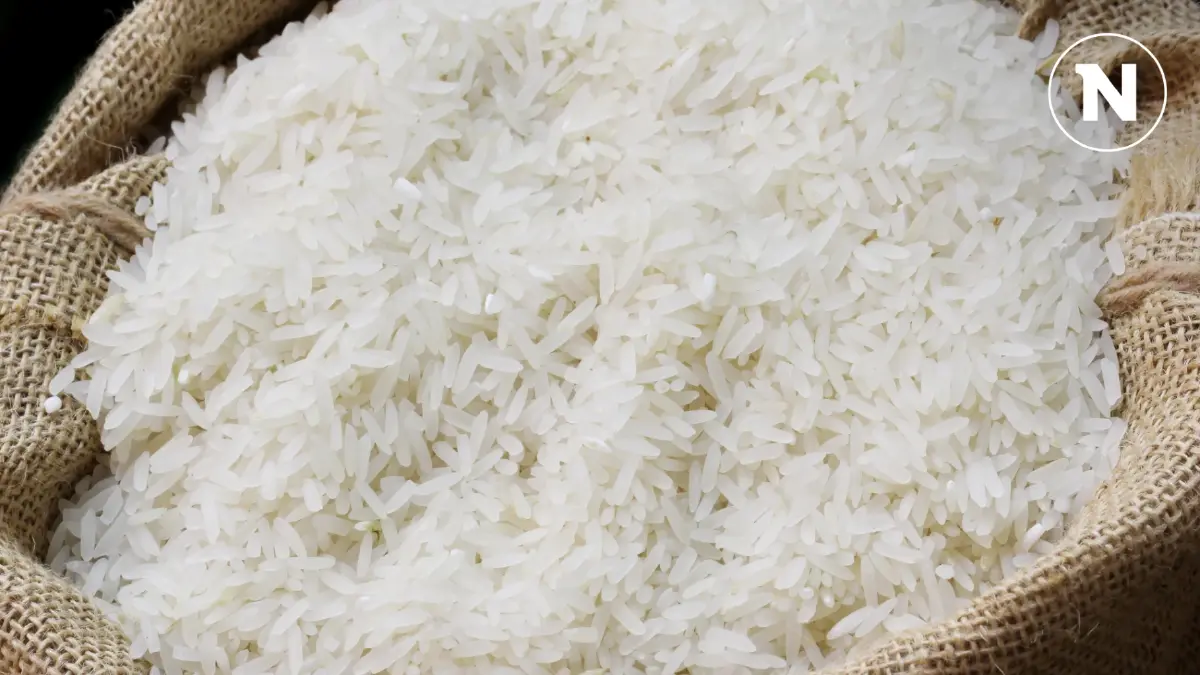 ส่งออกข้าวไทยทะลุเป้าเฉียด 10 ล้านตัน สูงสุดรอบ 6 ปี