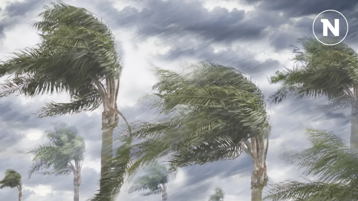 กรมอุตุฯ ประกาศฉบับ 4 ภาคใต้ฝนตกหนัก เปิดพิกัดระวังน้ำท่วมฉับพลัน