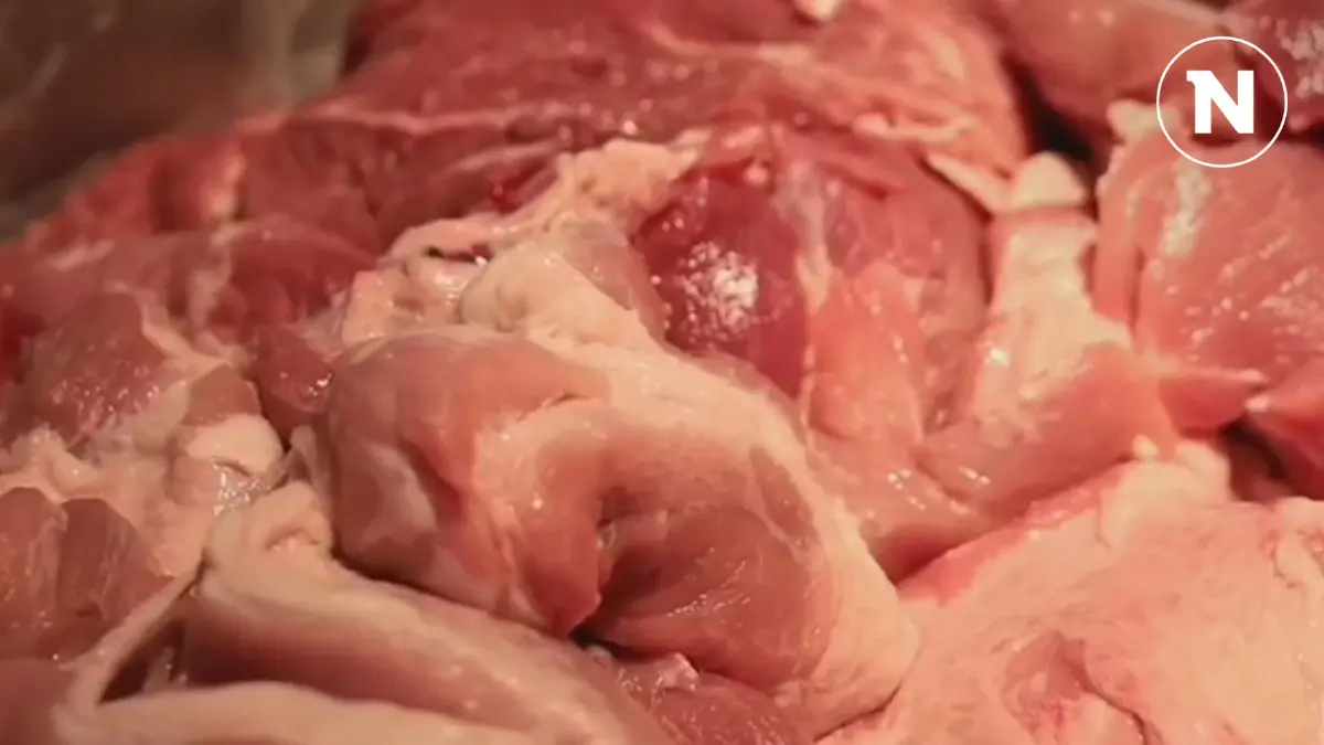 เตือนกินหมูดิบ ระวังดับ! อันตรายจากการเปิบอาหารไม่สุก