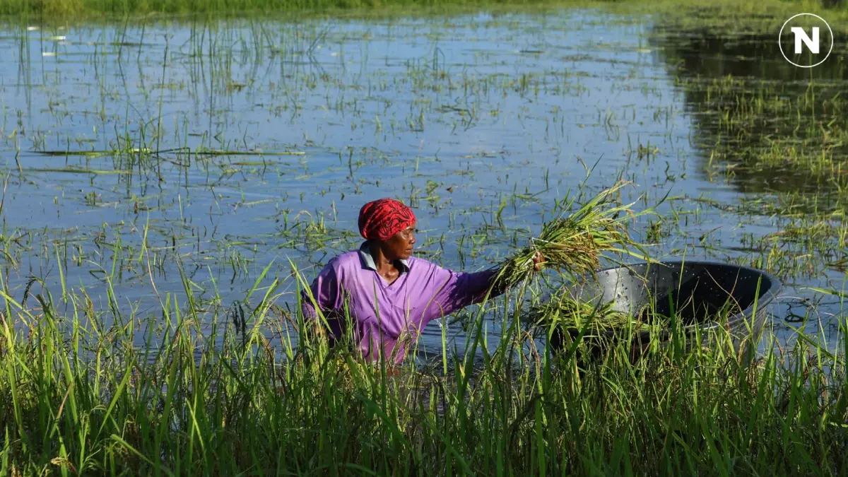 Climate Change การเปลี่ยนแปลง สถานการณ์ที่กำลังส่งผลกระทบทั่วมุมโลก