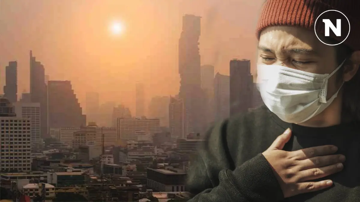 เตือน! ฝุ่นพิษ PM 2.5 เพิ่มขึ้น เกิดจากสาเหตุ เตือน! ฝุ่นพิษ PM 2.5 เพิ่มขึ้น เกิดจากสาเหตุ
