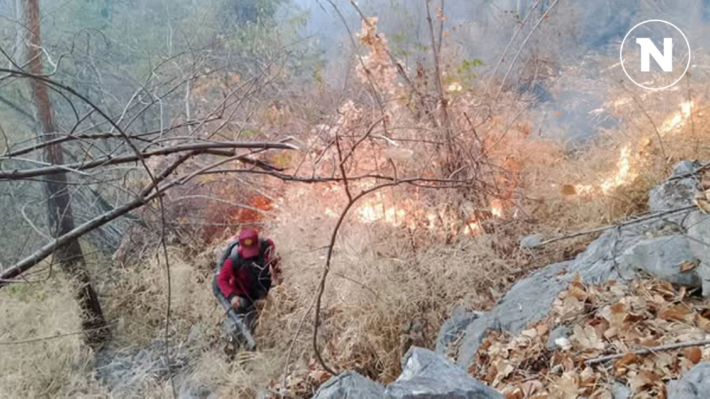 ดงพญาเย็นไฟป่าฉ่ำ ตั้งแต่ต้นปีไหม้แล้ว 3 รอบ สาเหตุรู้แล้วสุดหดหู่ ดงพญาเย็นไฟป่าฉ่ำ ตั้งแต่ต้นปีไหม้แล้ว 3 รอบ สาเหตุรู้แล้วสุดหดหู่