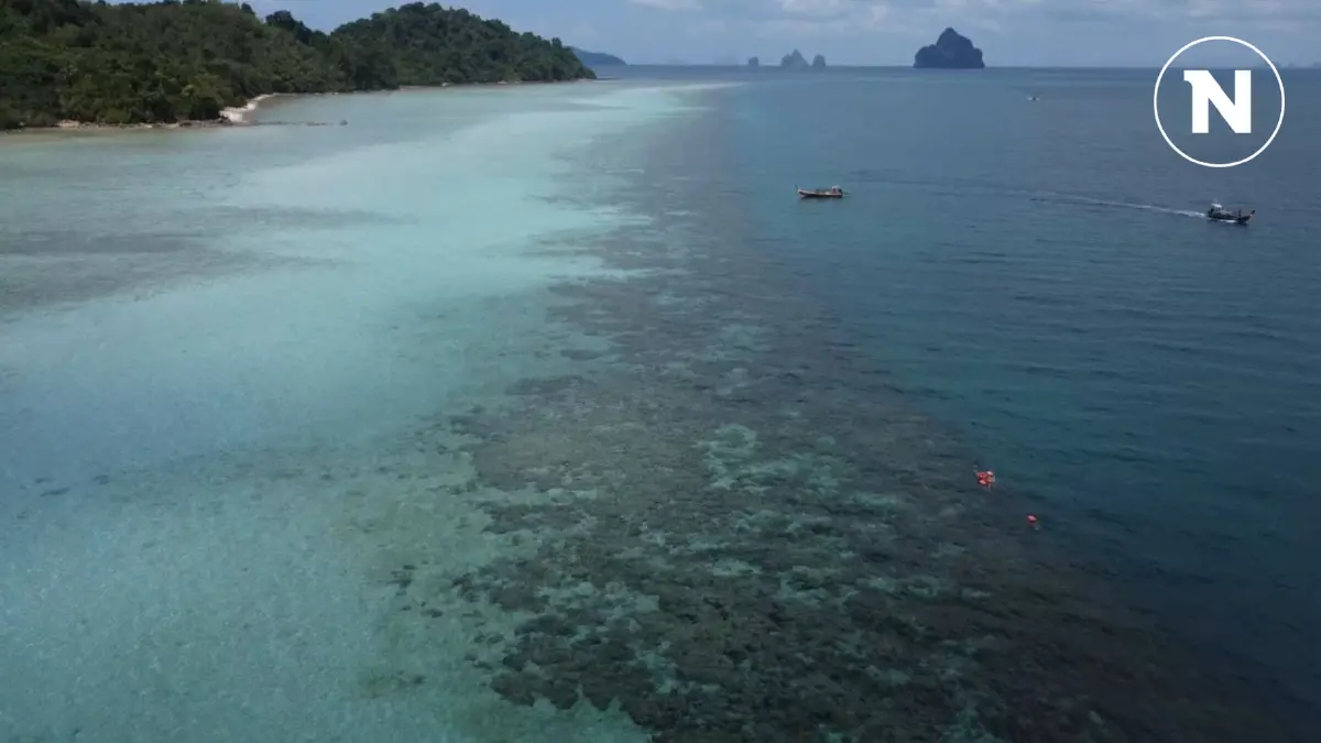 "เกาะกระดาน" คึกคัก นทท.เที่ยวรับปีใหม่ สัมผัสหาดขาว ทะเลใส "เกาะกระดาน" คึกคัก นทท.เที่ยวรับปีใหม่ สัมผัสหาดขาว ทะเลใส