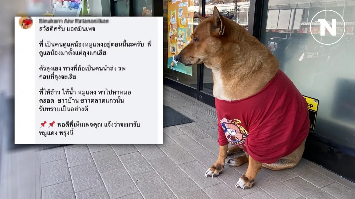 เปิดดราม่า "หมูแดง" แย่งเป็นเจ้าของ เพจข่าวโคราชชี้ "ใครคือเจ้าของตัวจริง"