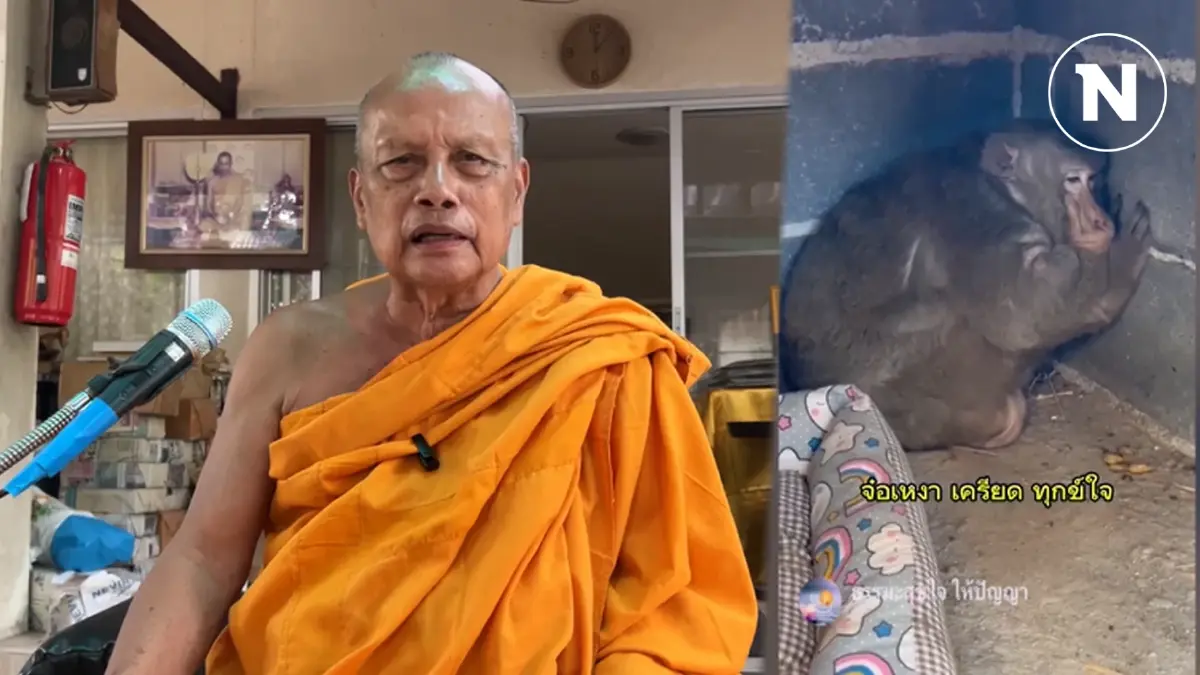 ดราม่า “ประธานจ๋อ” "พระพยอม" แนะพระอย่าทำผิด กม. เลี้ยงสัตว์ป่า ดราม่า “ประธานจ๋อ” "พระพยอม" แนะพระอย่าทำผิด กม. เลี้ยงสัตว์ป่า