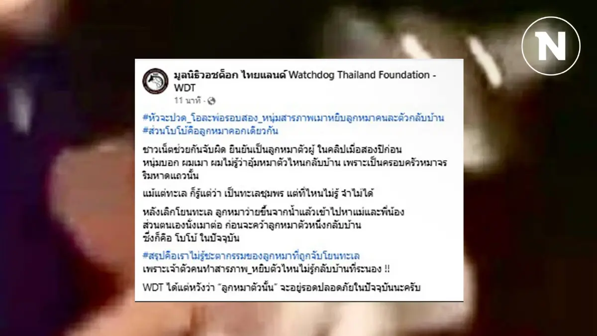 ยังไงกันแน่ จับโป๊ะ! สรุปหนุ่มหยิบลูกหมาตัวไหนกลับบ้าน?