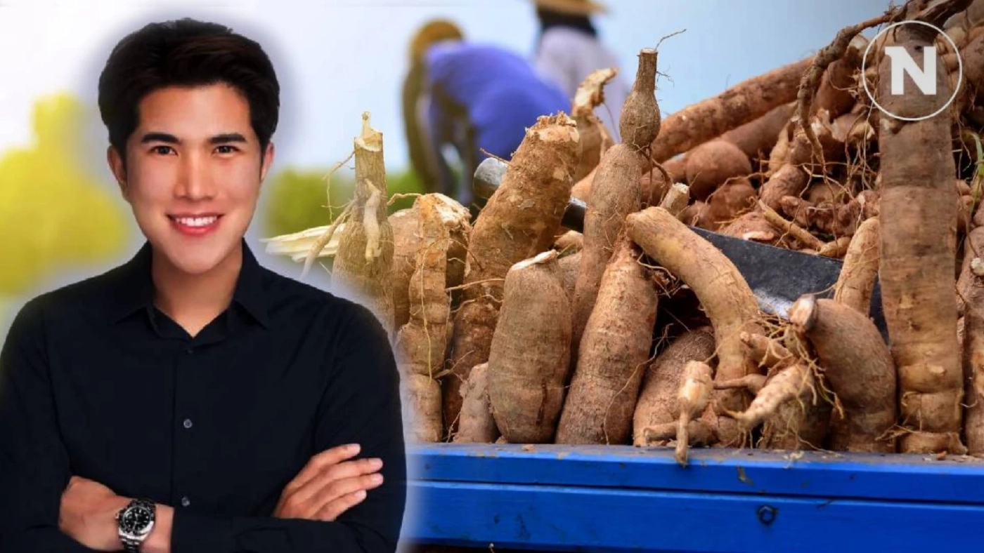 "กังฟู" เจาะ 4 ปัญหาราคามันสำปะหลังไทยตกต่ำหนัก เพราะสาเหตุนี้