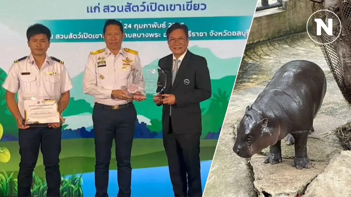 ททท. มอบโล่เกียรติคุณ "หมูเด้ง" - สวนสัตว์ฯ เขาเขียว ชูเป็นผู้ทำประโยชน์ต่อท่องเที่ยวไทย
