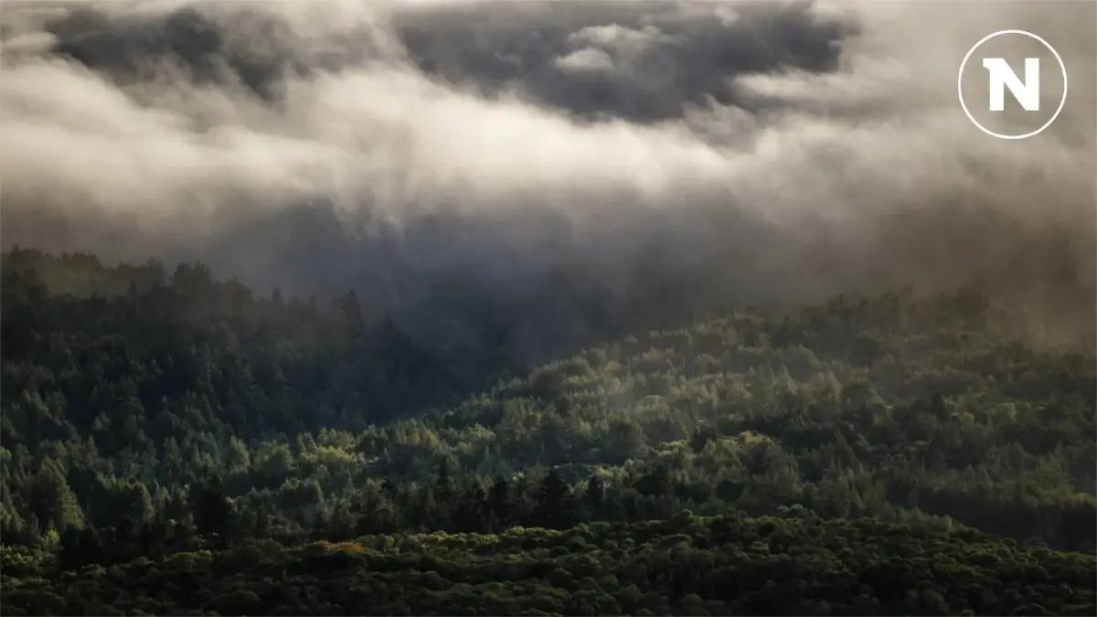 กรมอุตุฯ พยากรณ์ เตือน มวลอากาศเย็นระลอกใหม่ เช็กเลยมาวันไหน อุณหภูมิลดกี่องศาฯ
