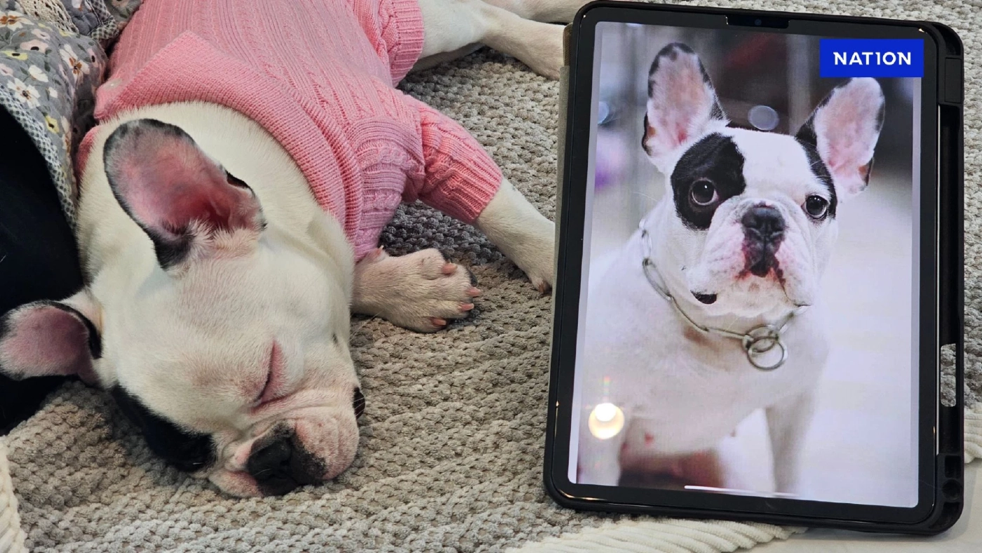 หญิงทุ่มเงินโคลนนิ่งสุนัข ที่รักเหมือนลูก รู้ยอดเงินมีอึ้ง!