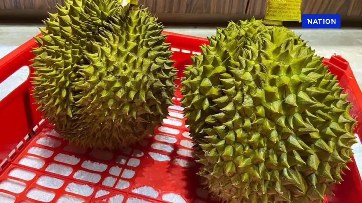 พาณิชย์เร่งเครื่องปั้นภาพลักษณ์ 'ทุเรียนไทย' เจาะตลาดจีน พาณิชย์เร่งเครื่องปั้นภาพลักษณ์ 'ทุเรียนไทย' เจาะตลาดจีน