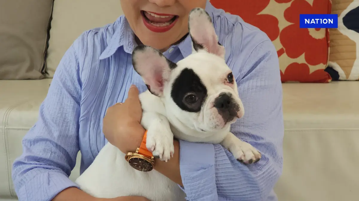 “พะแพง” หมาโคลนนิ่งตัวแรกของไทย หมอคนสร้างเคลียร์ทุกข้อสงสัย