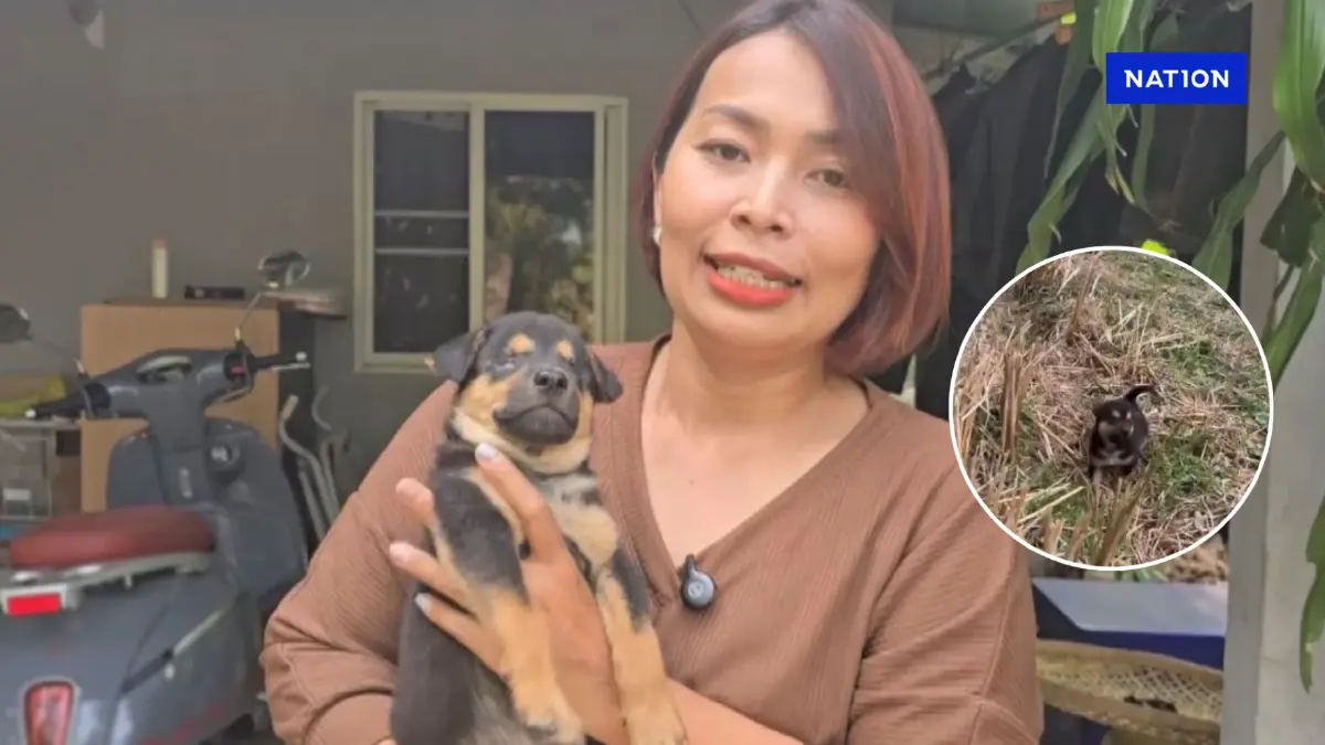 สาวใจดี ช่วยชีวิตหมาน้อยตาบอด ตั้งชื่อ "หมูตุ๋น" เผย จะเป็นแสงสว่างให้เอง