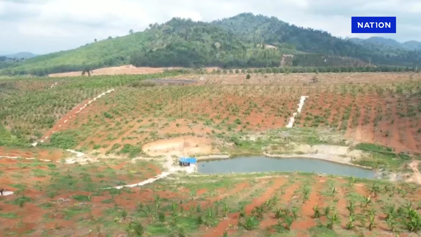 ปทส. ตรวจยึดคืนผืนป่า 900 ไร่ หลังถูกนายทุนหุบที่ปลูกทุเรียน ปทส. ตรวจยึดคืนผืนป่า 900 ไร่ หลังถูกนายทุนหุบที่ปลูกทุเรียน
