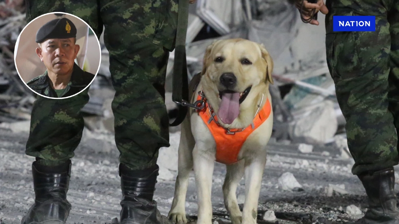 กรมการสัตว์ทหารบก นำสุนัขทหาร ร่วมภารกิจค้นหาผู้รอดชีวิต ตึกถล่ม กรมการสัตว์ทหารบก นำสุนัขทหาร ร่วมภารกิจค้นหาผู้รอดชีวิต ตึกถล่ม