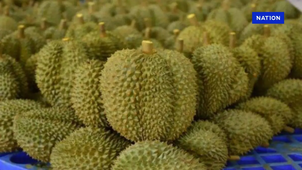 พาณิชย์ ถกทูตจีน ขอผ่อนปรนมาตรการตรวจสารตกค้างทุเรียนไทย พาณิชย์ ถกทูตจีน ขอผ่อนปรนมาตรการตรวจสารตกค้างทุเรียนไทย