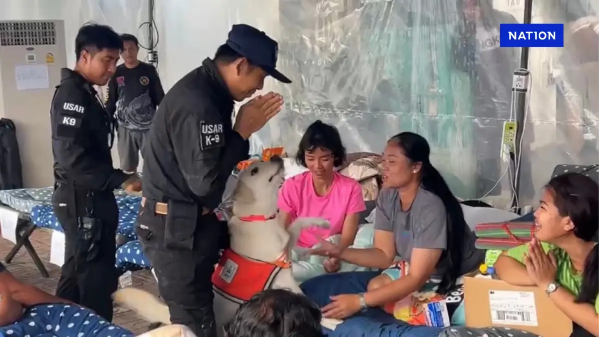 ทีมสุนัขกู้ภัย K9 เข้าลาญาติผู้สูญหาย แฟนคลับ ร่วมส่งกำลังใจ ทีมสุนัขกู้ภัย K9 เข้าลาญาติผู้สูญหาย แฟนคลับ ร่วมส่งกำลังใจ