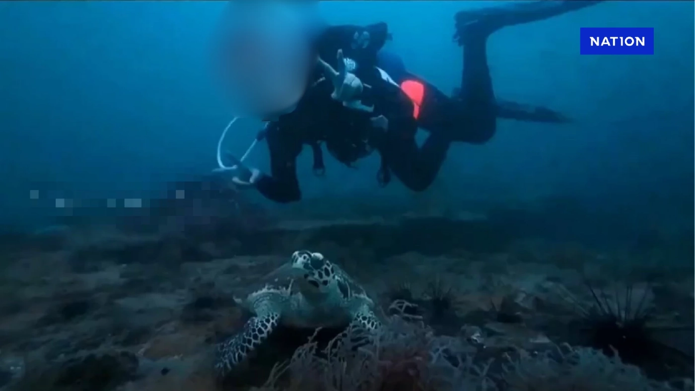 วิจารณ์ยับ พบกลุ่มนักดำน้ำ ทำคอนเทนต์อนาจารใต้ทะเลบนแนวปะการัง วิจารณ์ยับ พบกลุ่มนักดำน้ำ ทำคอนเทนต์อนาจารใต้ทะเลบนแนวปะการัง